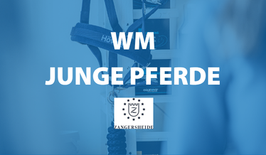 WM Junge Springpferde